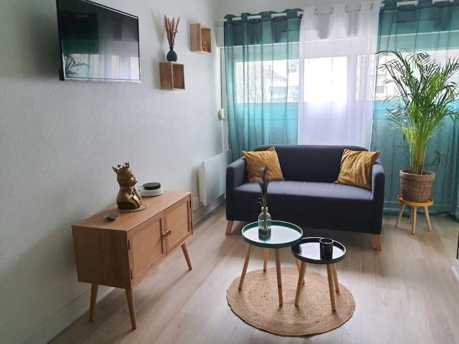 Le Ouistiti - 50 M De La Gare - Parking Prive Apartment